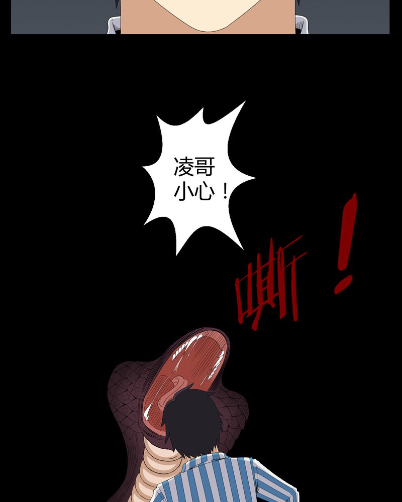 第22章：蛇化19