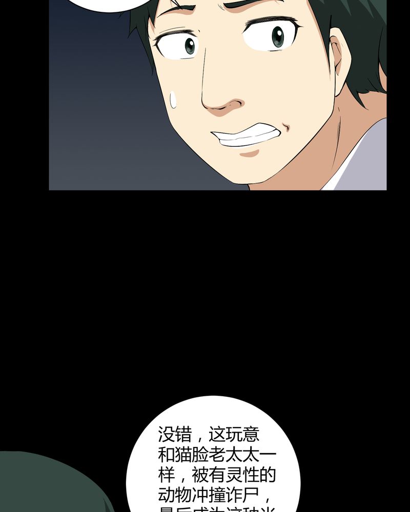 第23章：狂蟒之灾5