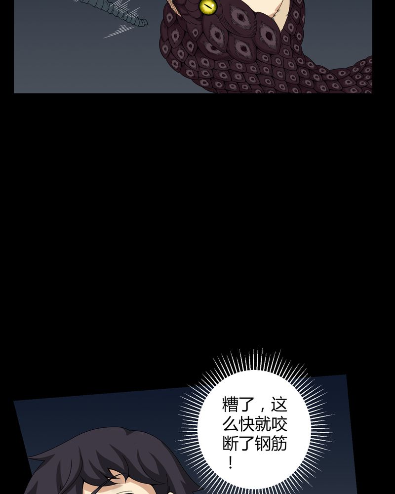 第22章：蛇化29