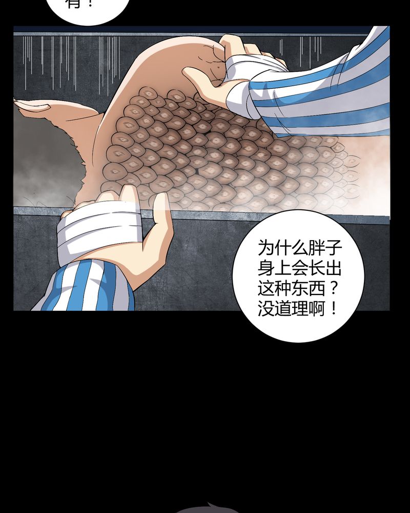 第21章：死人睁眼6