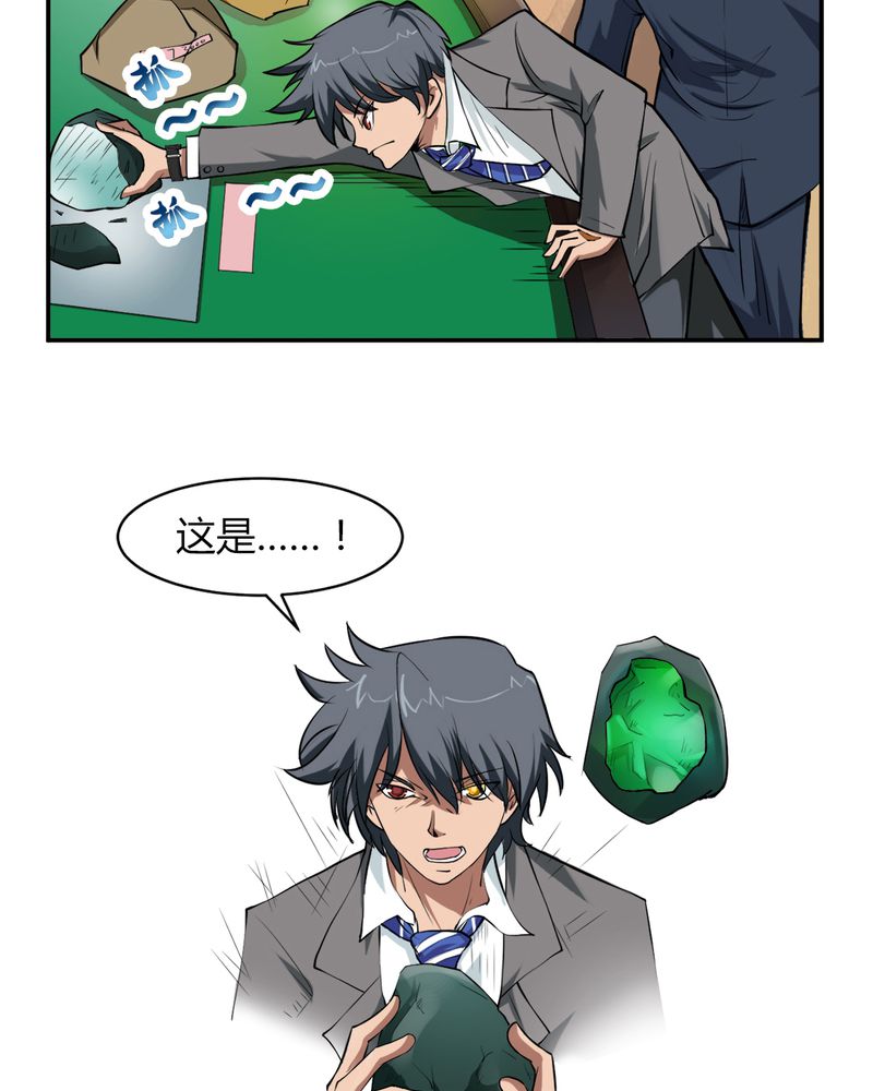第2章：赌石22