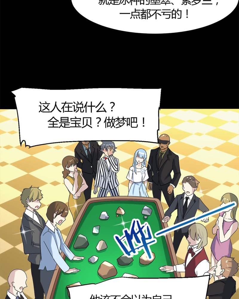 第15章：赌石大会35