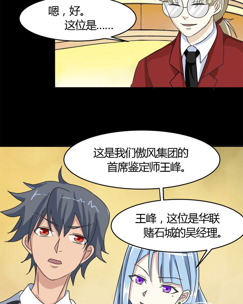 第15章：赌石大会17