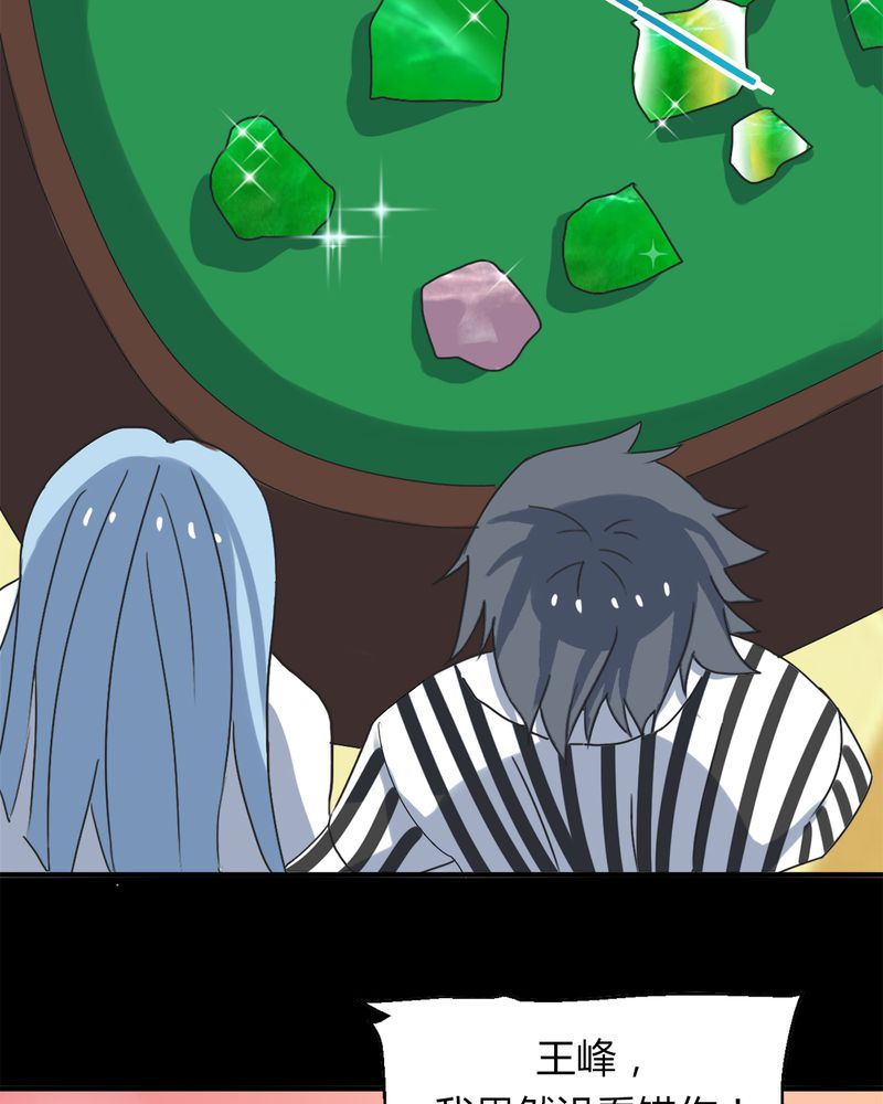 第15章：赌石大会42