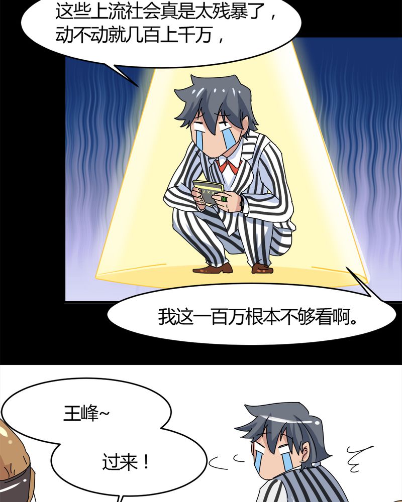 第15章：赌石大会28