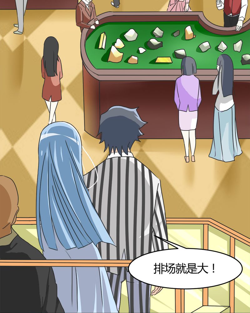 第15章：赌石大会24