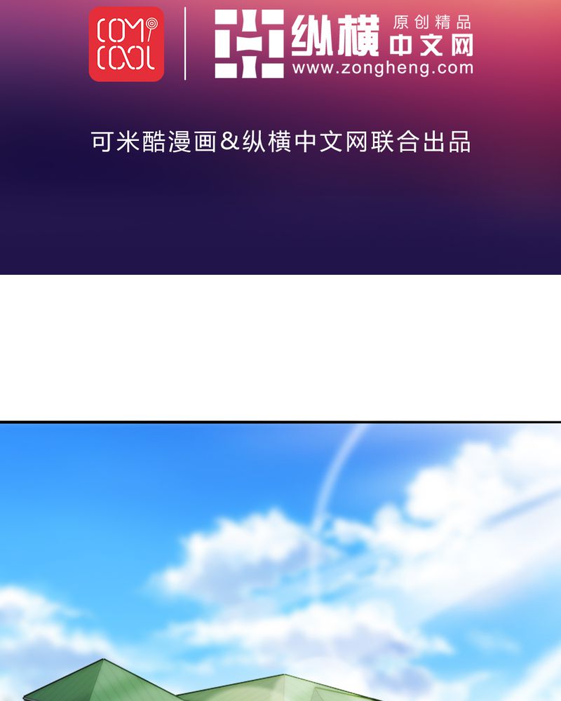 第45章：华云飞的计划1