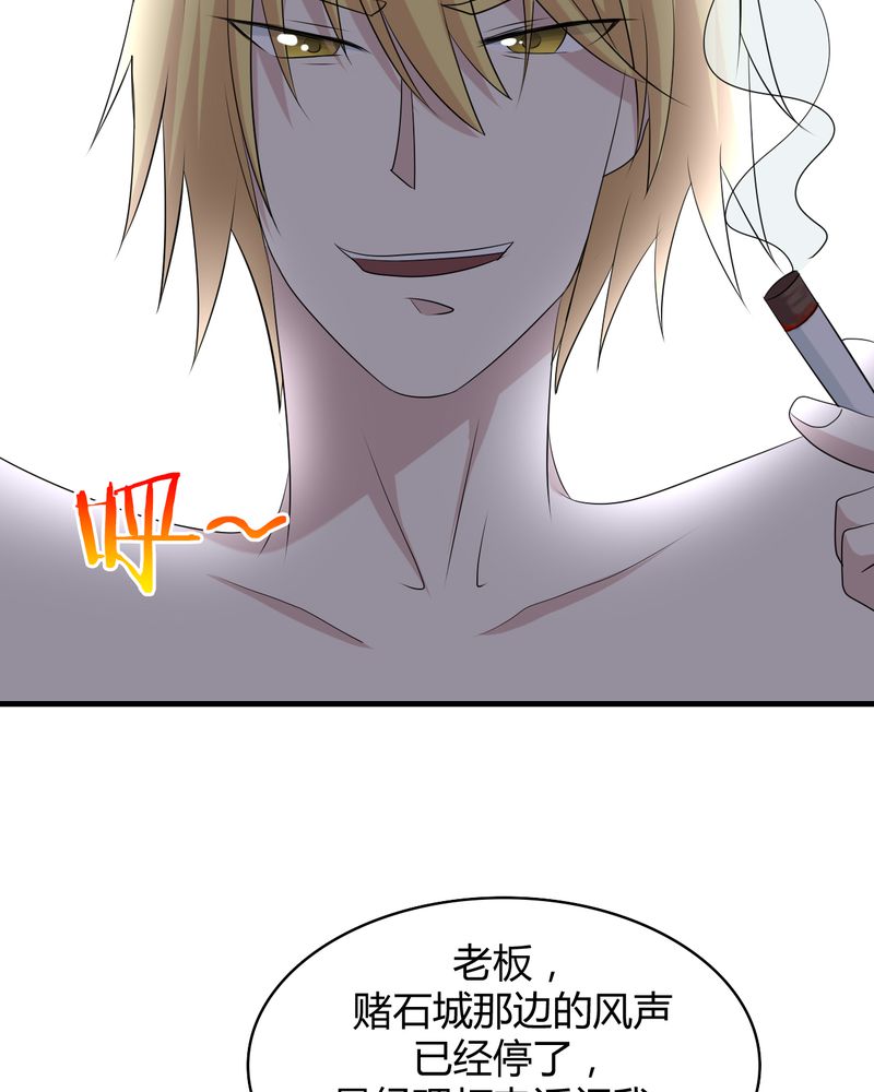 第45章：华云飞的计划14