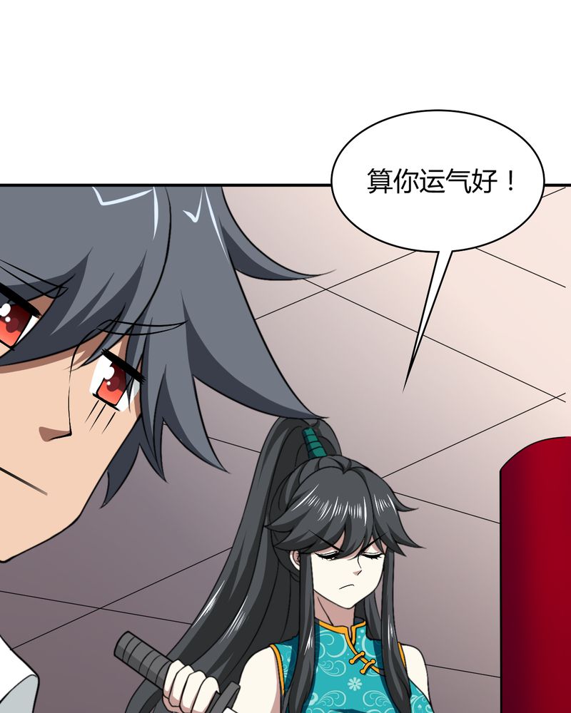 第45章：华云飞的计划35