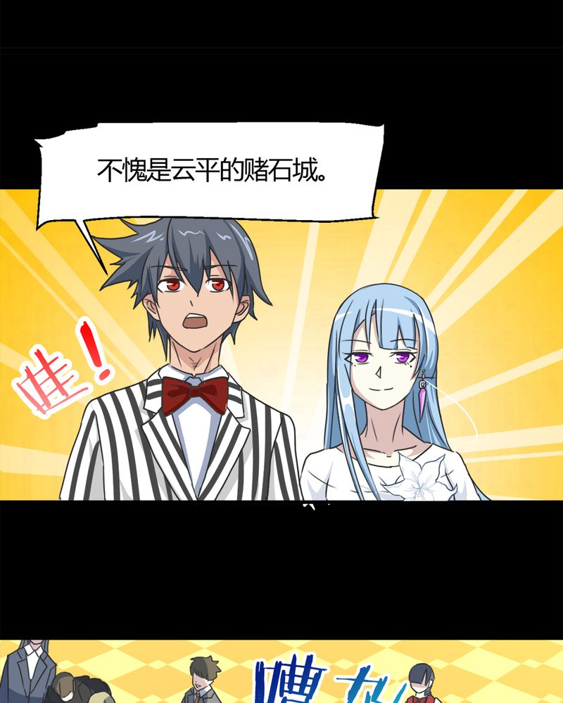 第15章：赌石大会22