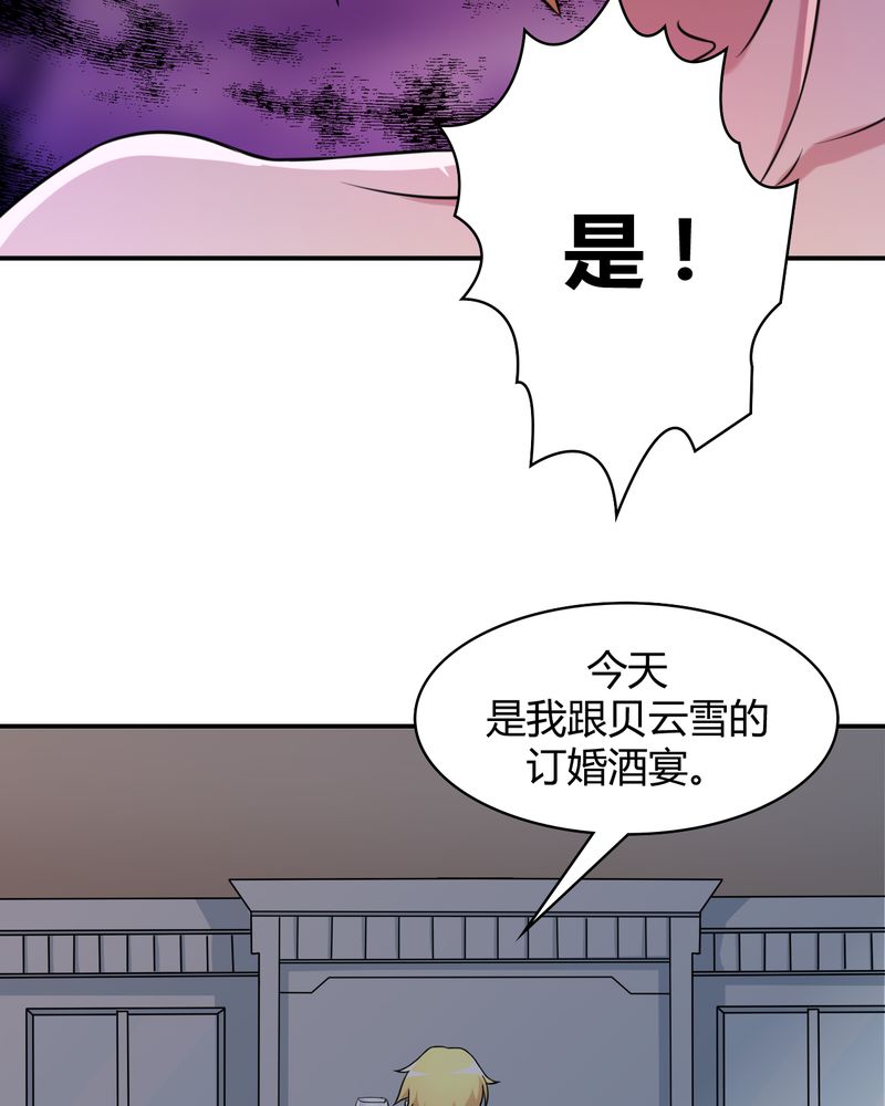 第45章：华云飞的计划22