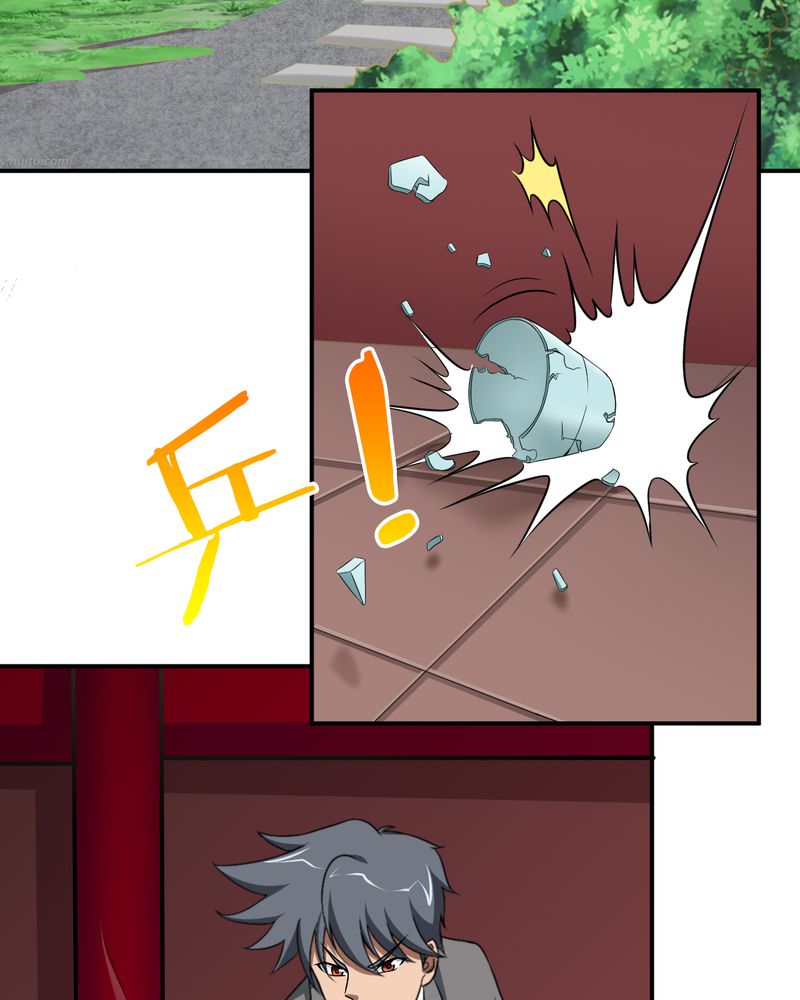第45章：华云飞的计划30