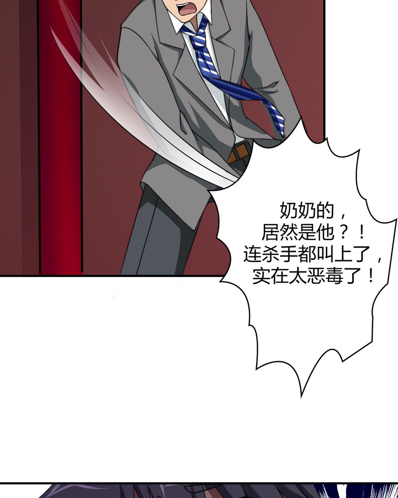 第45章：华云飞的计划31