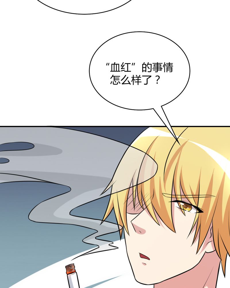 第45章：华云飞的计划16