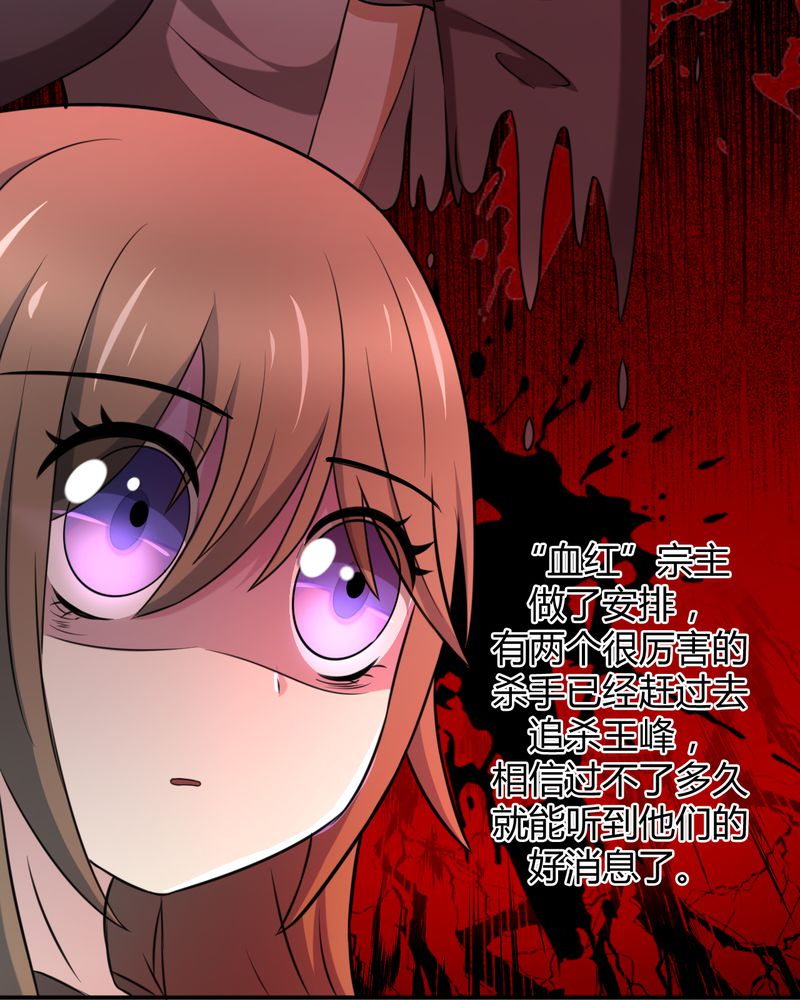 第45章：华云飞的计划18