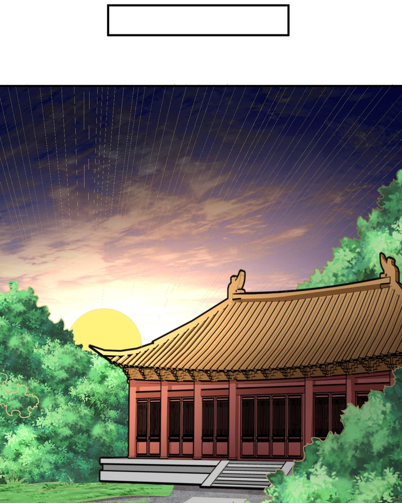 第45章：华云飞的计划29