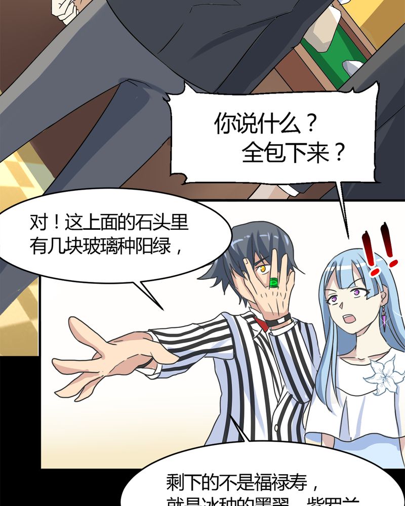 第15章：赌石大会34