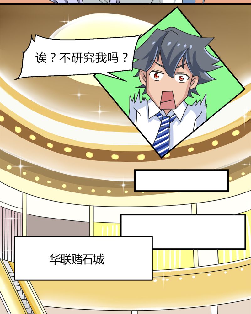 第15章：赌石大会13