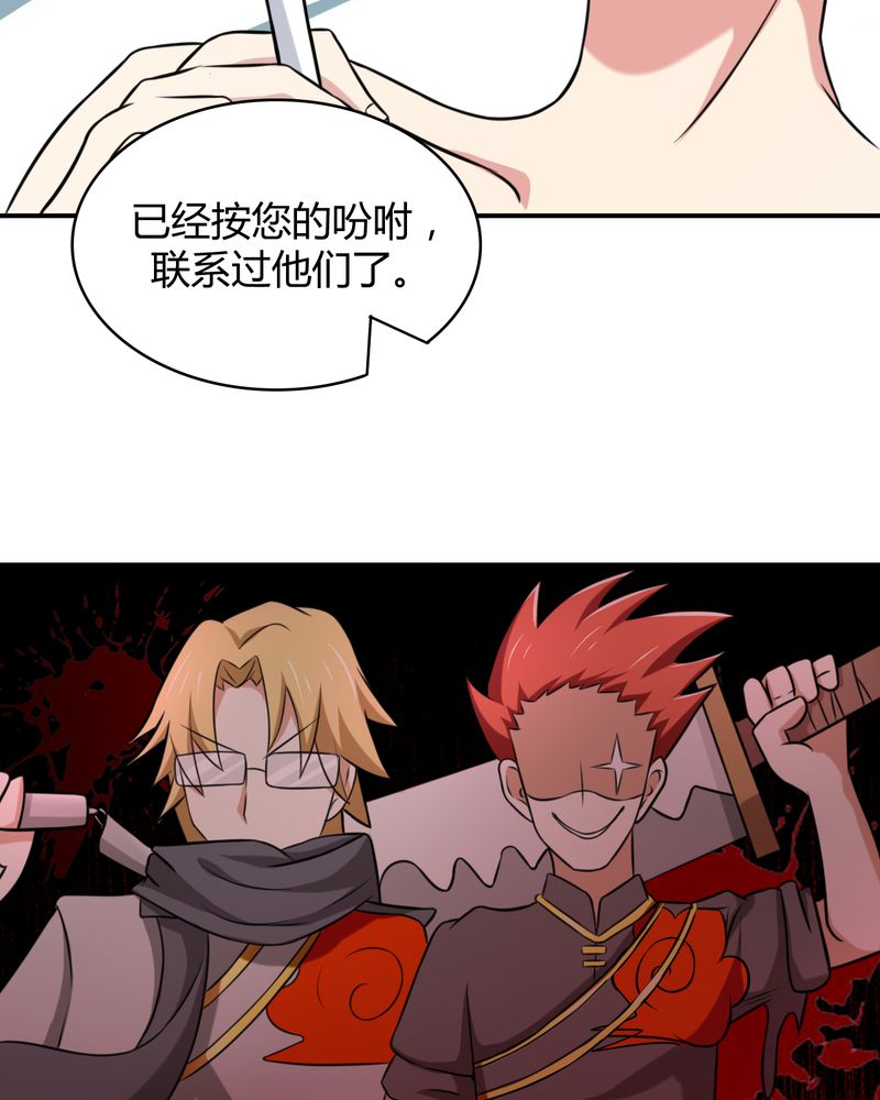 第45章：华云飞的计划17