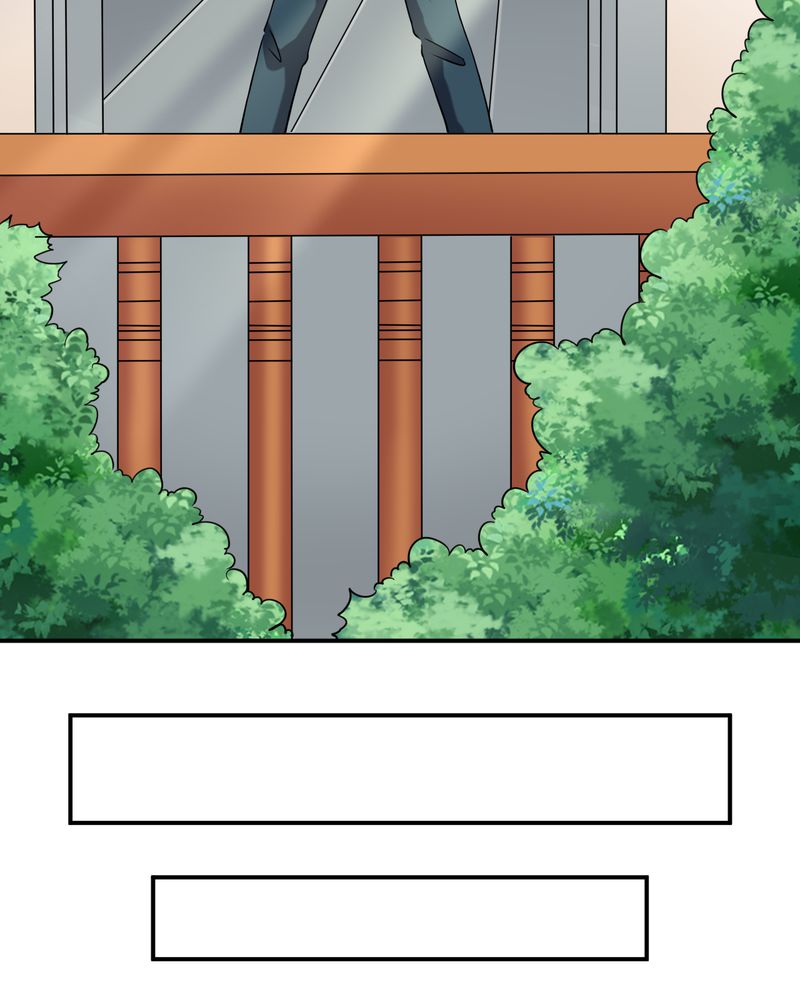 第45章：华云飞的计划28