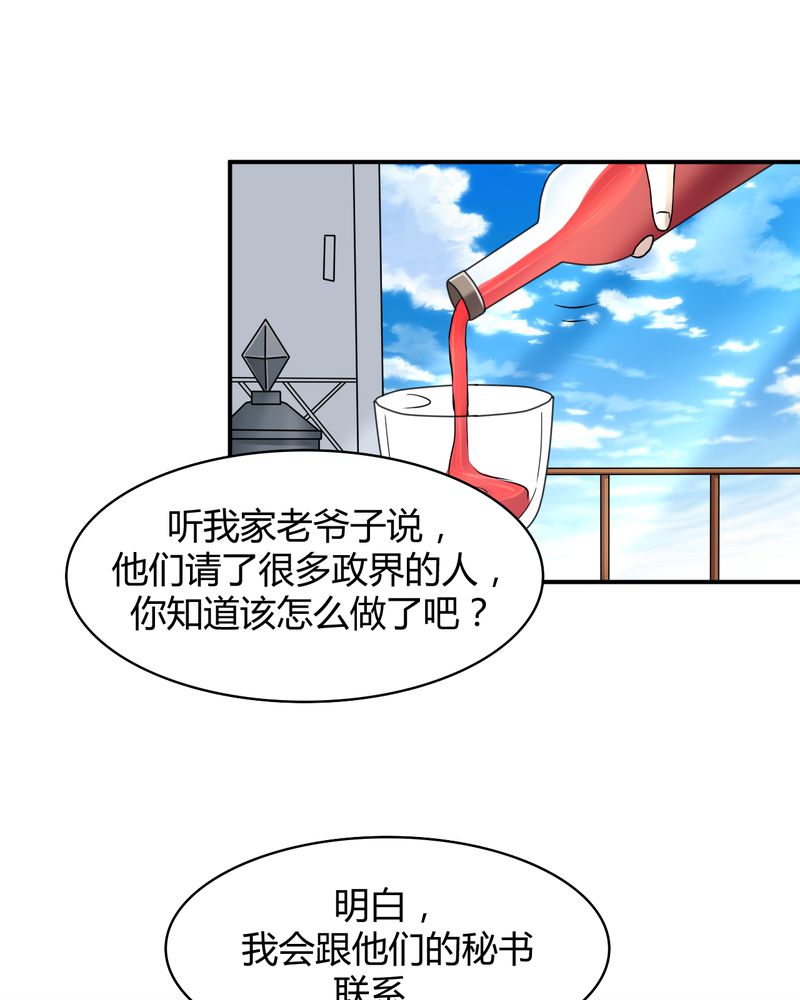 第45章：华云飞的计划24