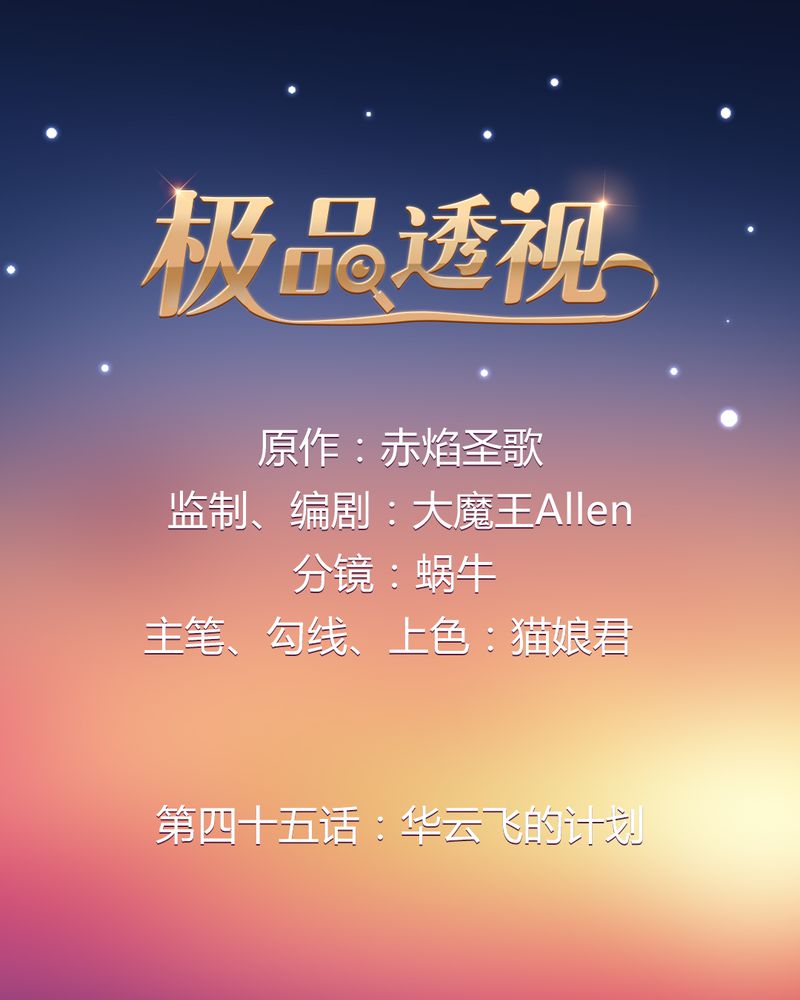 第45章：华云飞的计划0