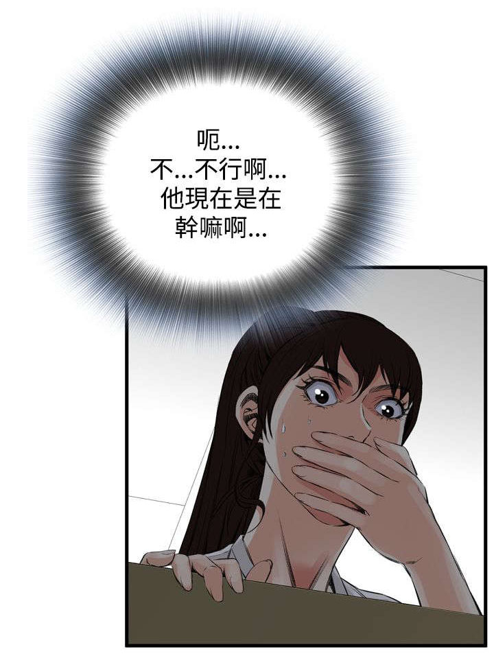 第18章：窥视3