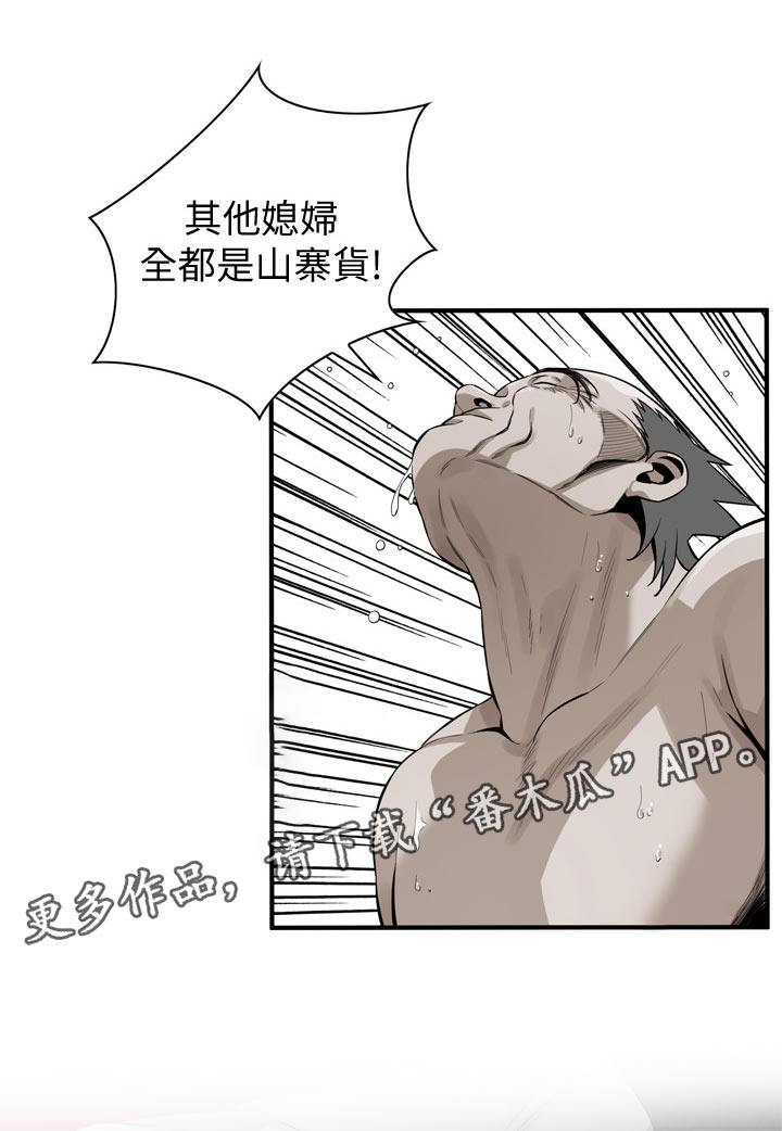 第230章：山寨货0