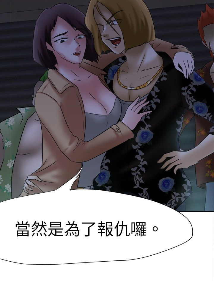 第11章：报仇13