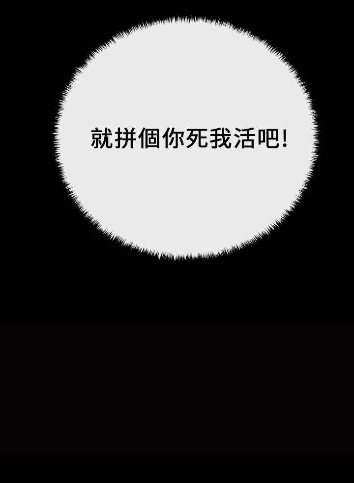 第20章：2V115