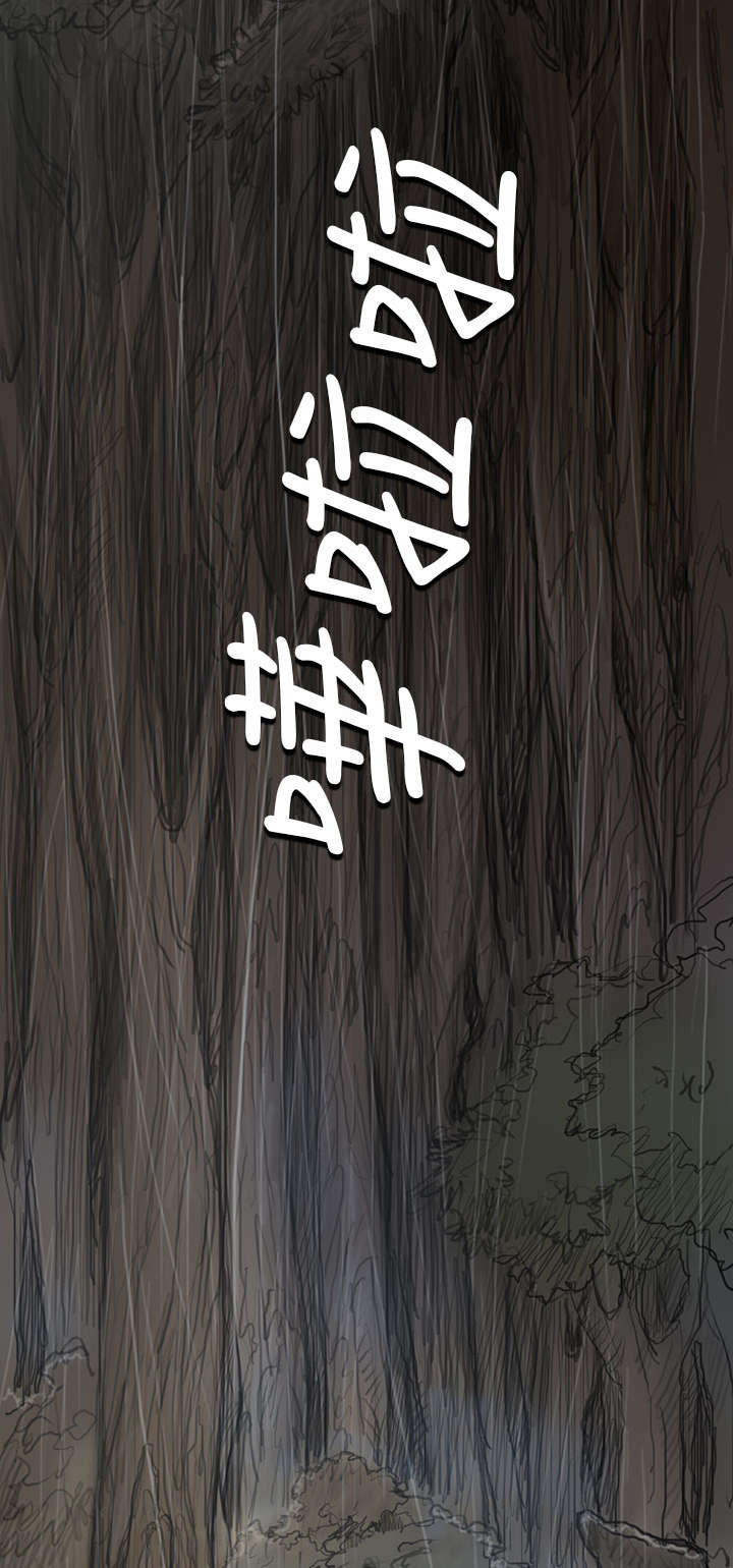 第23章：雨夜惊魂0