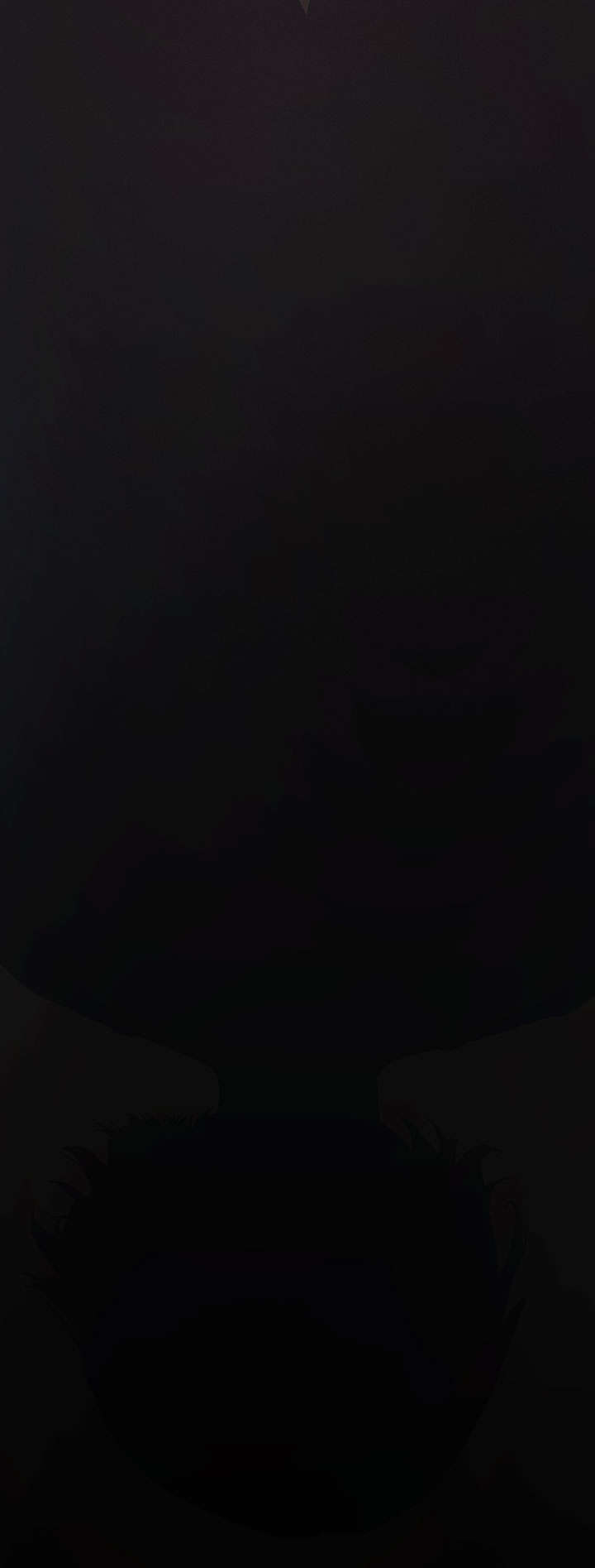 第48章：微笑17