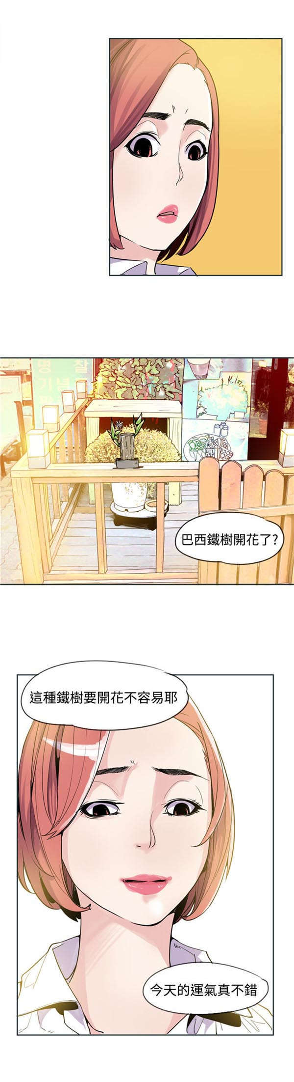 第22章：报告1