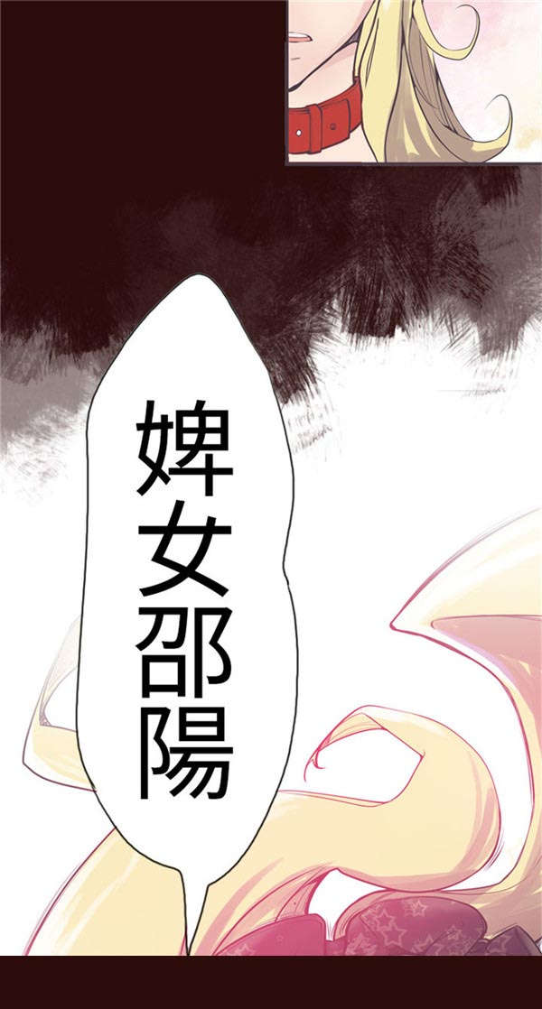 第10章：介绍13