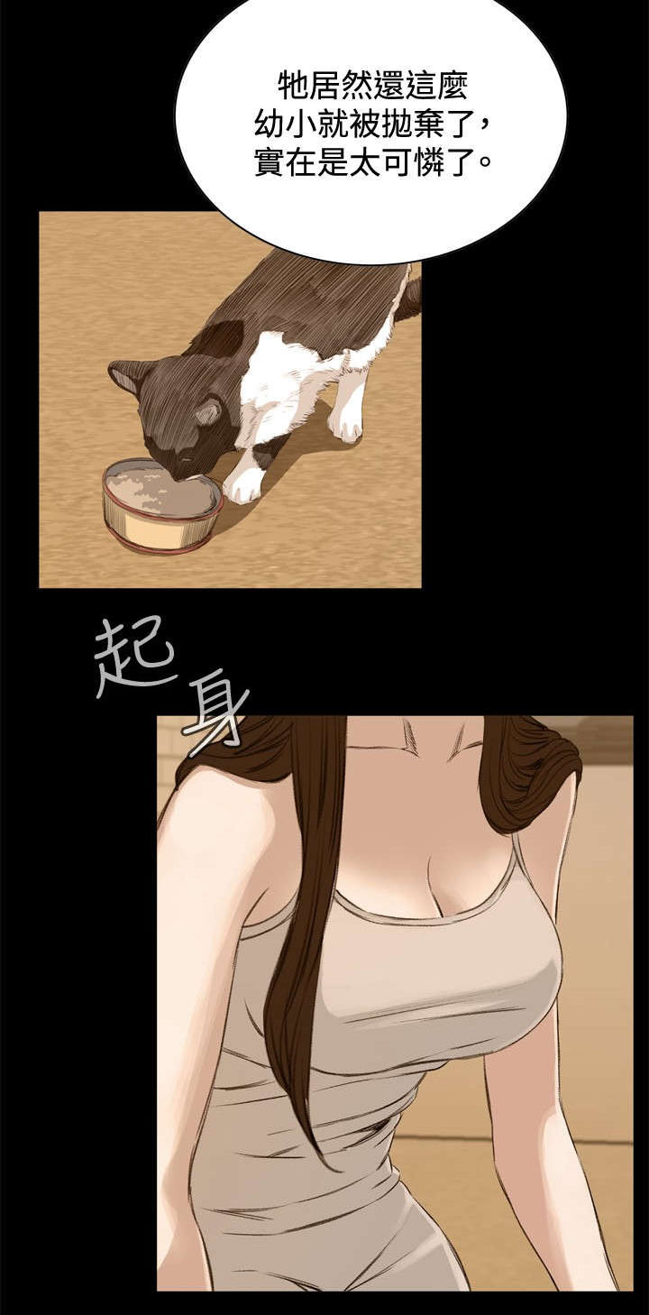 第44章：真相11