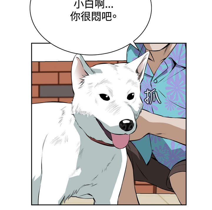 第35章：天台（2）8