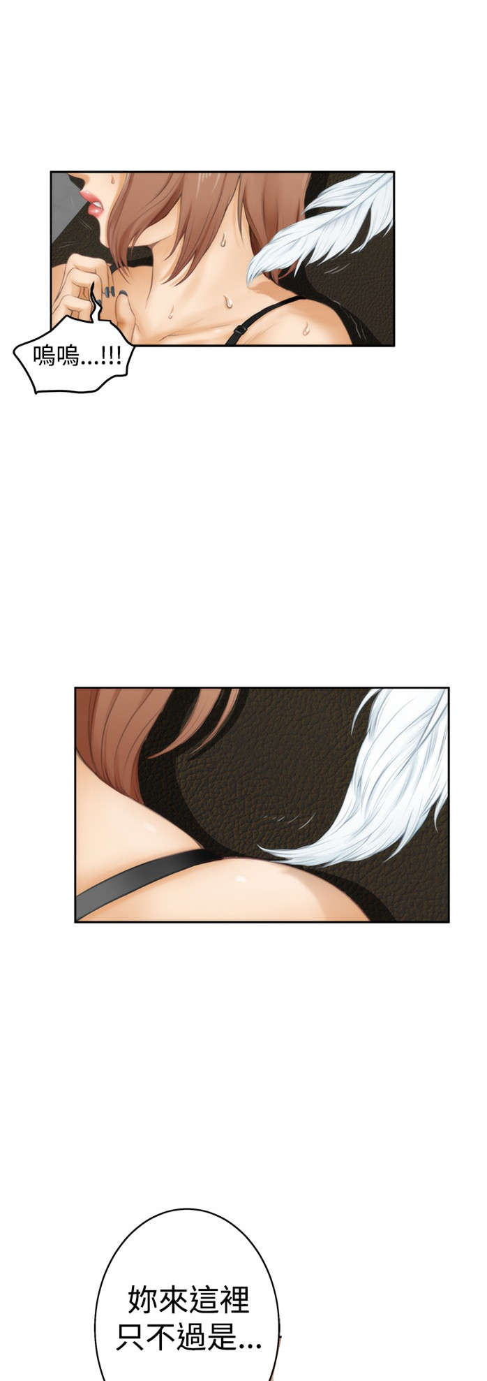 第34章：驯服9