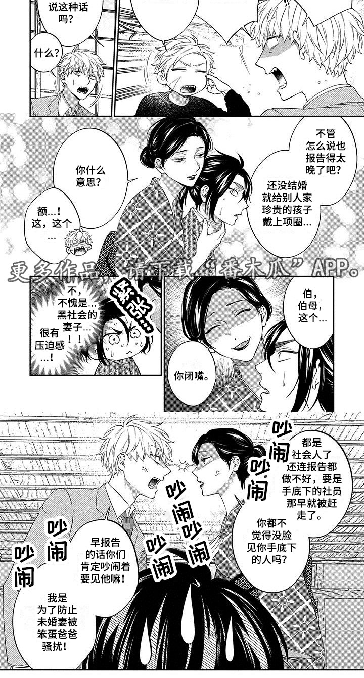 第18章：见父母3