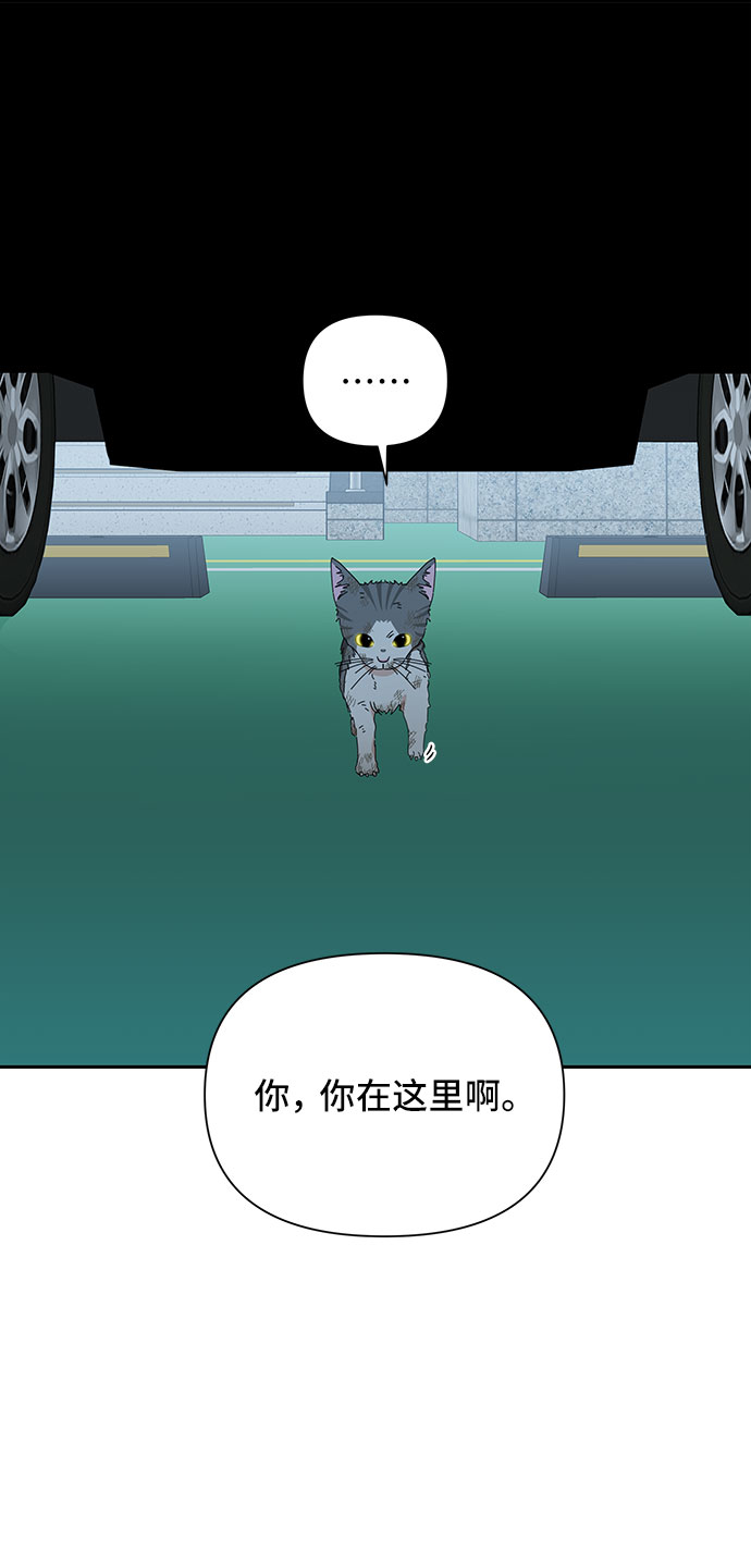 第29话81