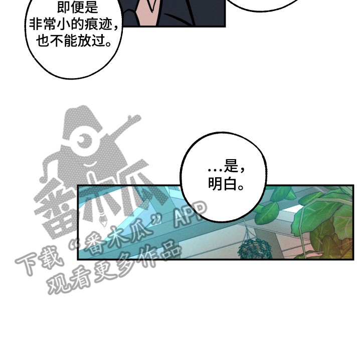 第12章：着手调查15