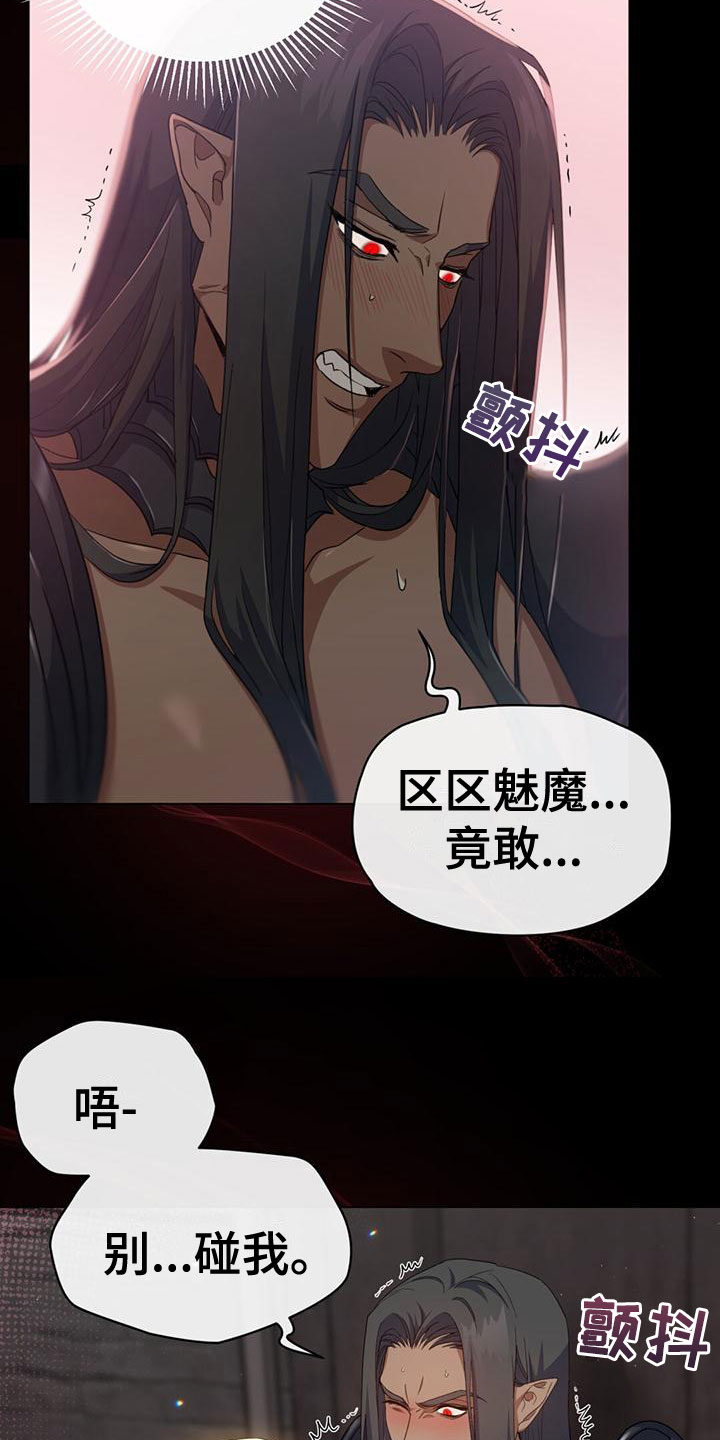 第13章：不能被发现12