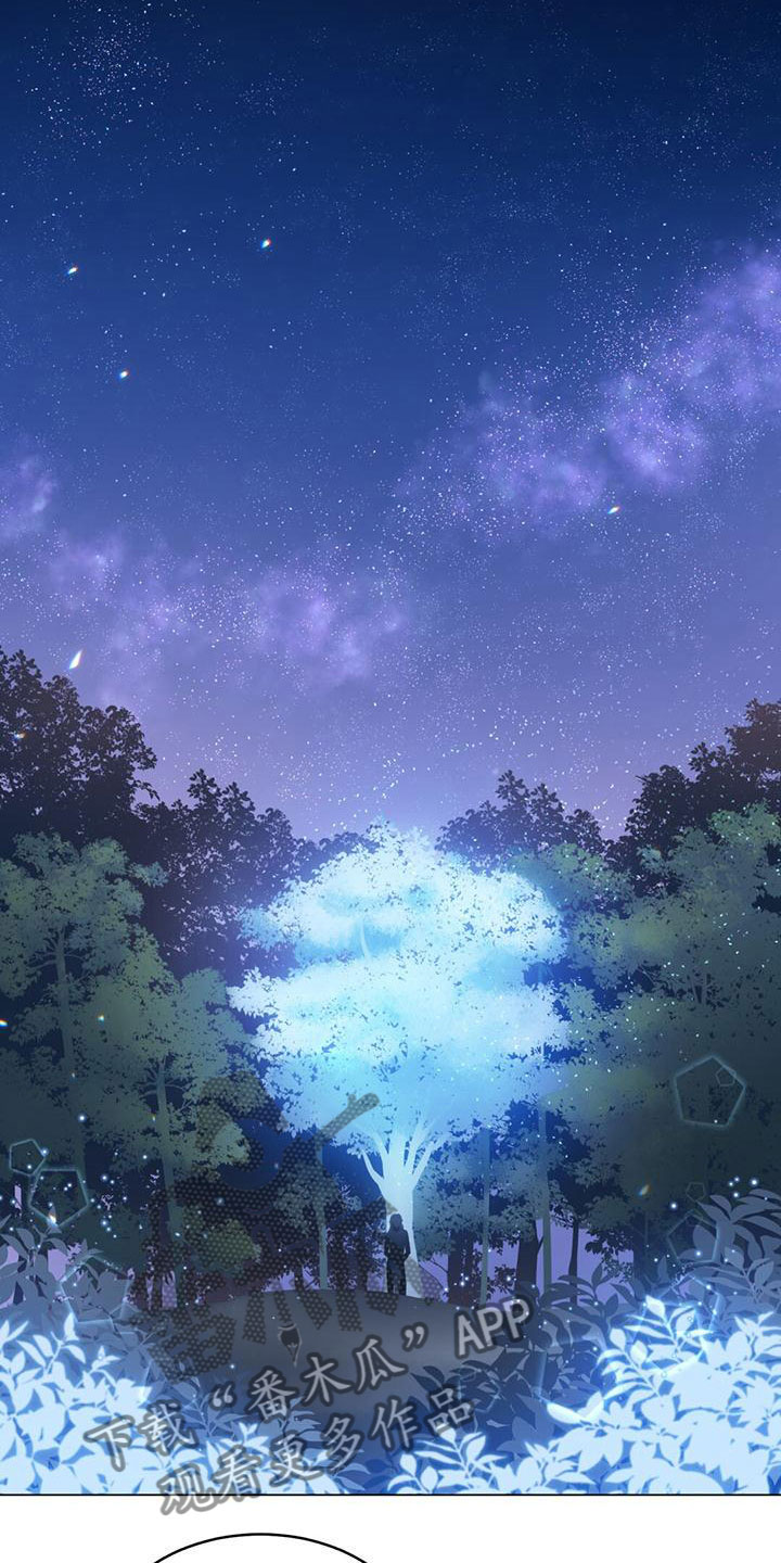 第17章：想念14