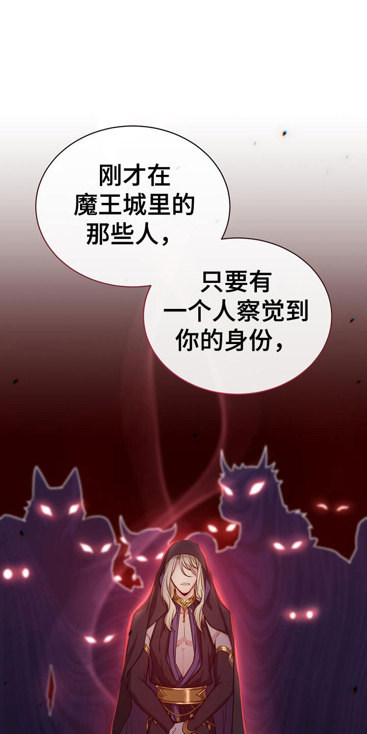 第29章：隐藏身份16