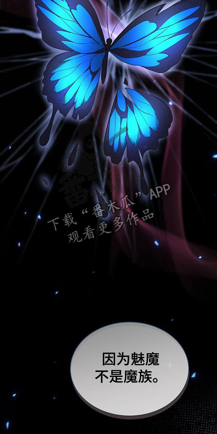 第29章：隐藏身份18