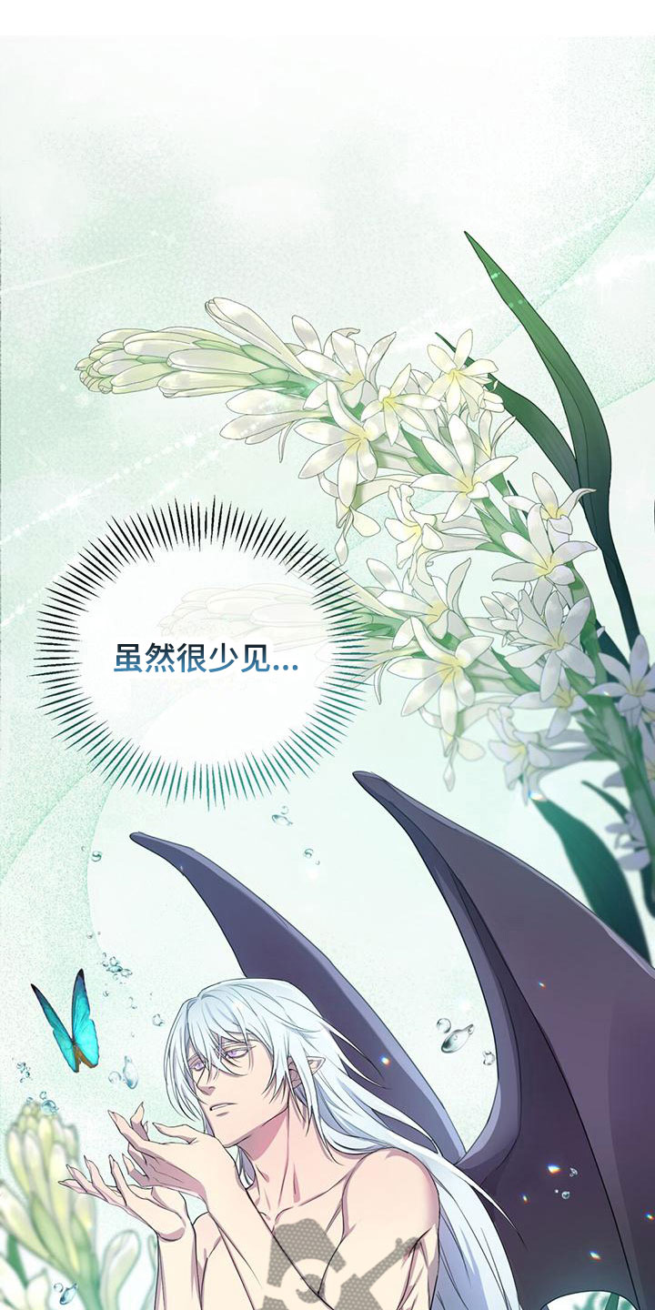 第10章：仙族？！16