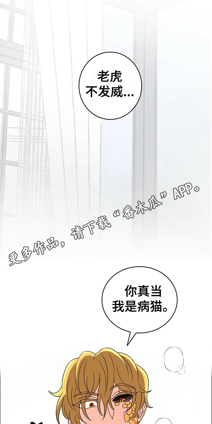 第8章：痛苦11