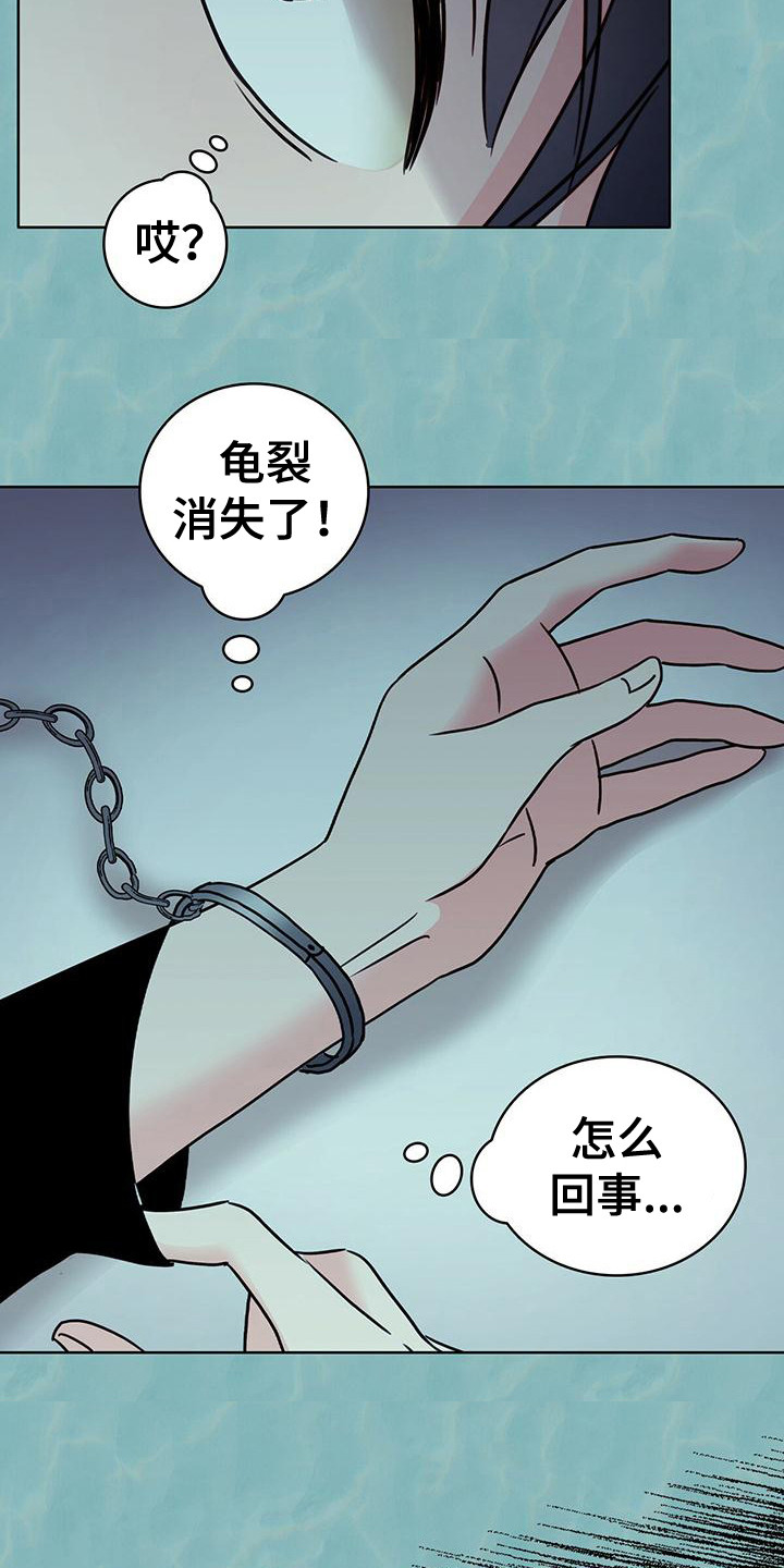 第7章：龟裂消失9