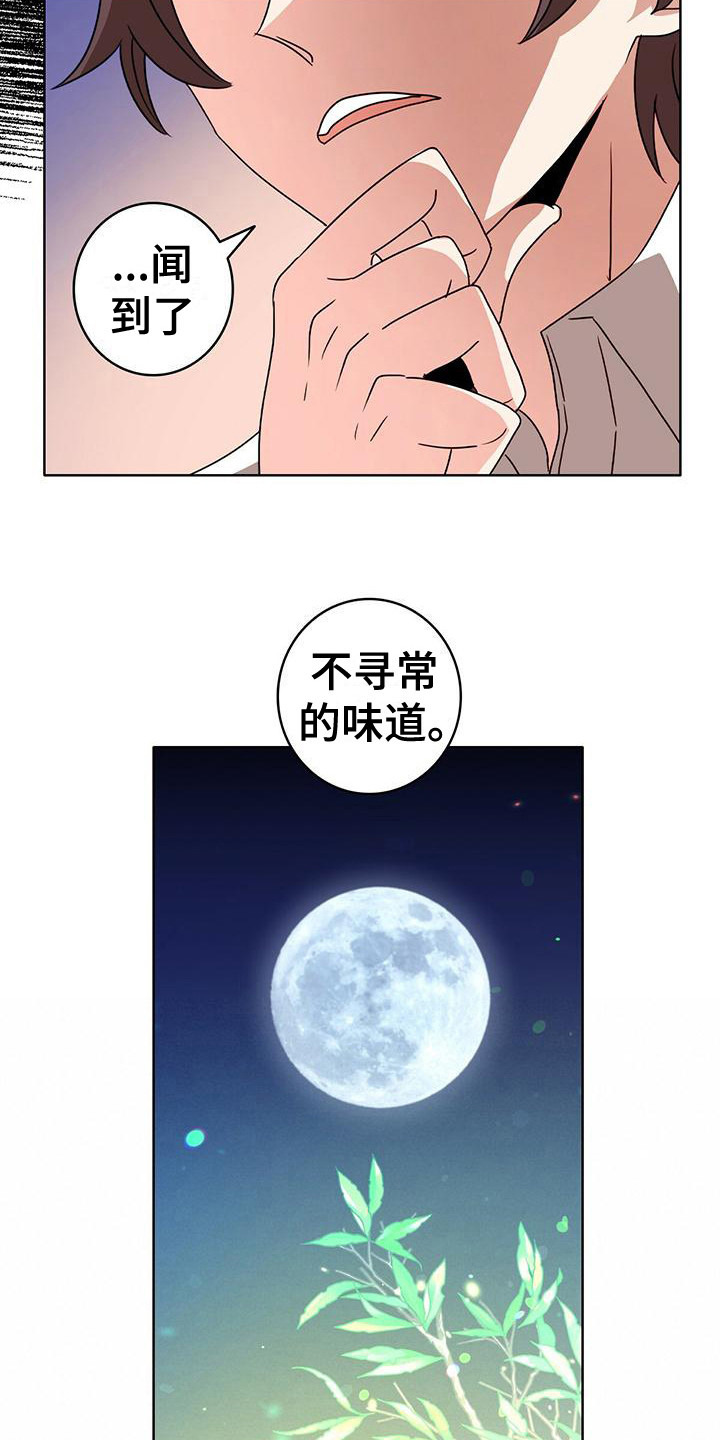 第6章：不寻常9