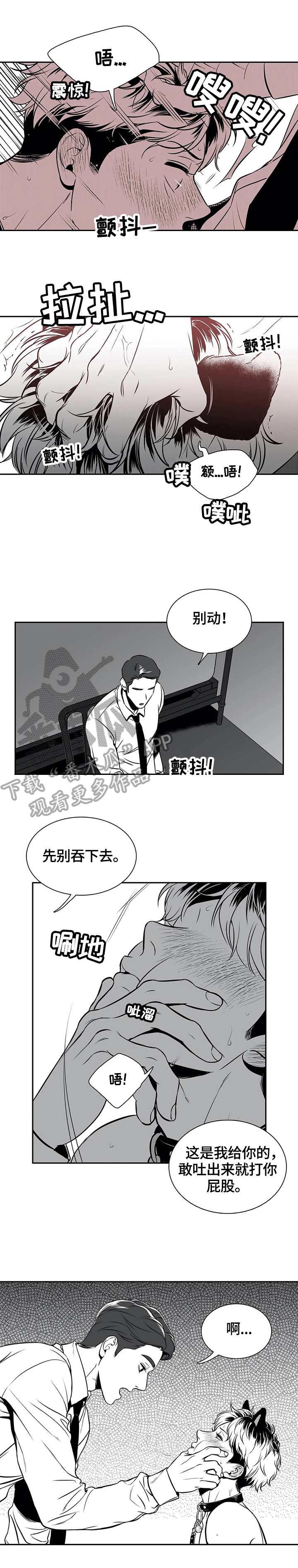 第161章：【番外一：】状况0