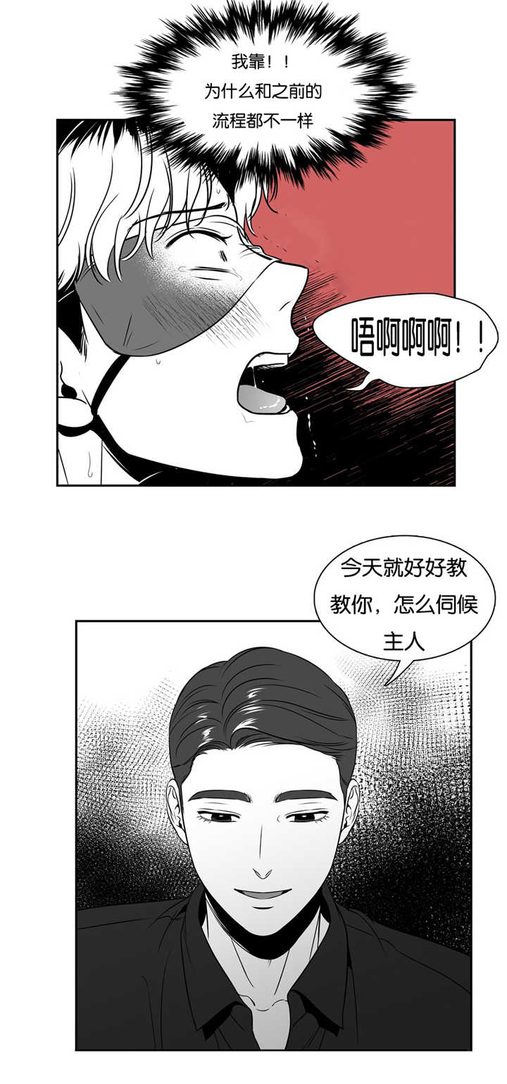 第66章：知道了吗7